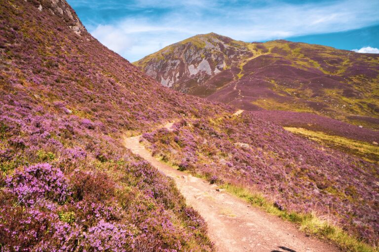 Image of a winding path leading up to the Cairngorms